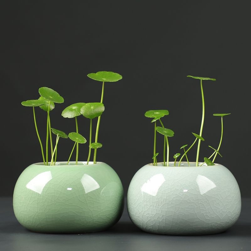 Minimalist Ceramic Hydroponic Container, Floor-Standing