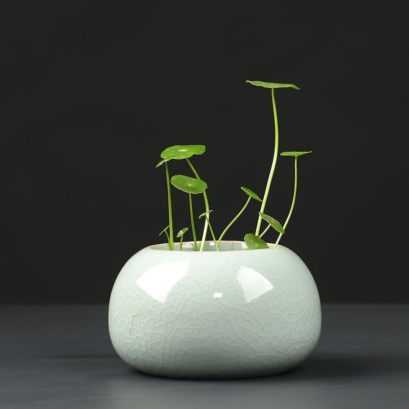 Minimalist Ceramic Hydroponic Container, Floor-Standing