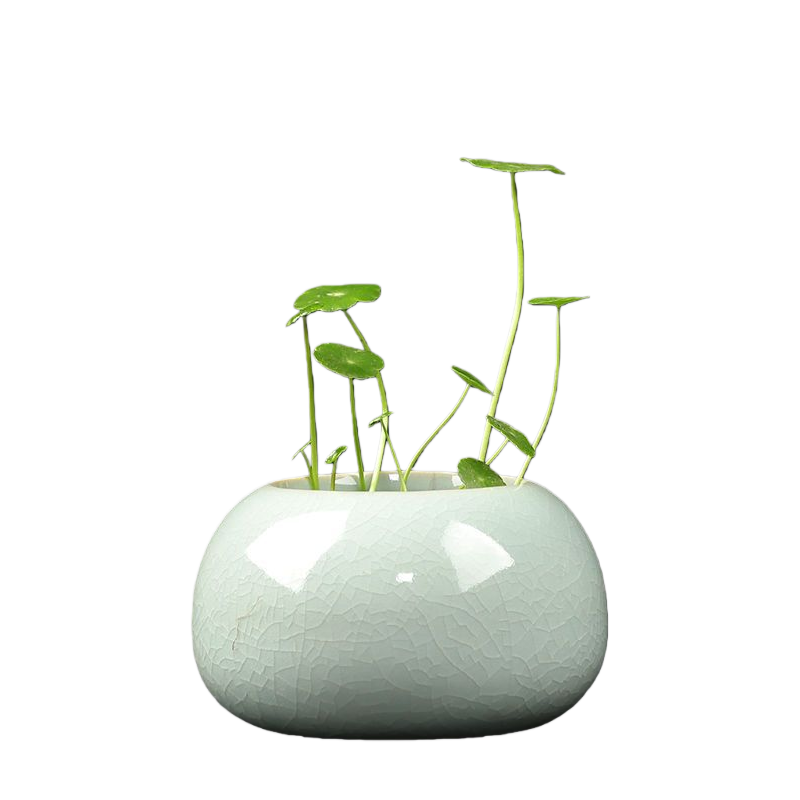 Minimalist Ceramic Hydroponic Container, Floor-Standing
