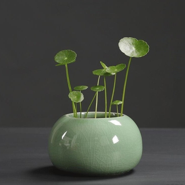 Minimalist Ceramic Hydroponic Container, Floor-Standing