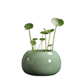 Minimalist Ceramic Hydroponic Container, Floor-Standing