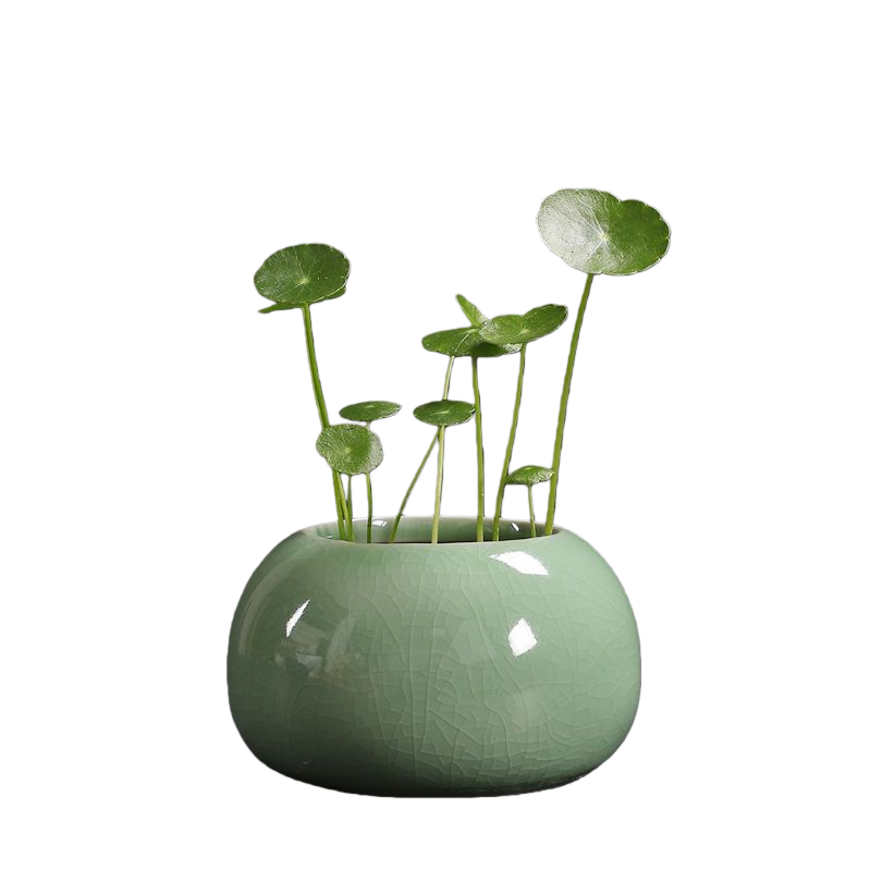 Minimalist Ceramic Hydroponic Container, Floor-Standing