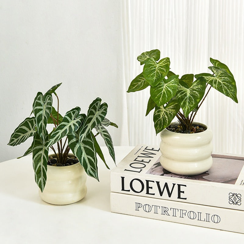 Modern Ceramic Desktop Planter, White Geometric Design