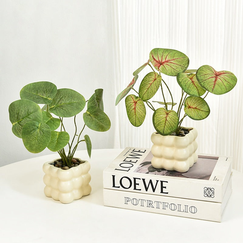 Modern Ceramic Desktop Planter, White Geometric Design