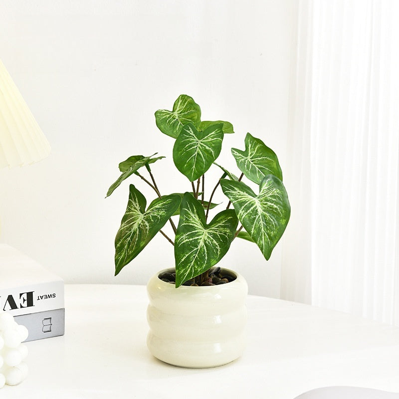 Modern Ceramic Desktop Planter, White Geometric Design