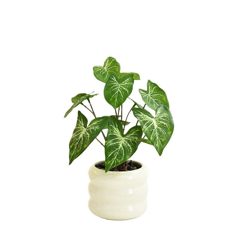 Modern Ceramic Desktop Planter, White Geometric Design