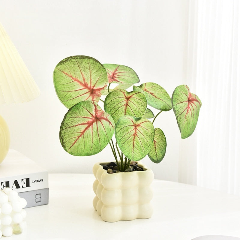 Modern Ceramic Desktop Planter, White Geometric Design